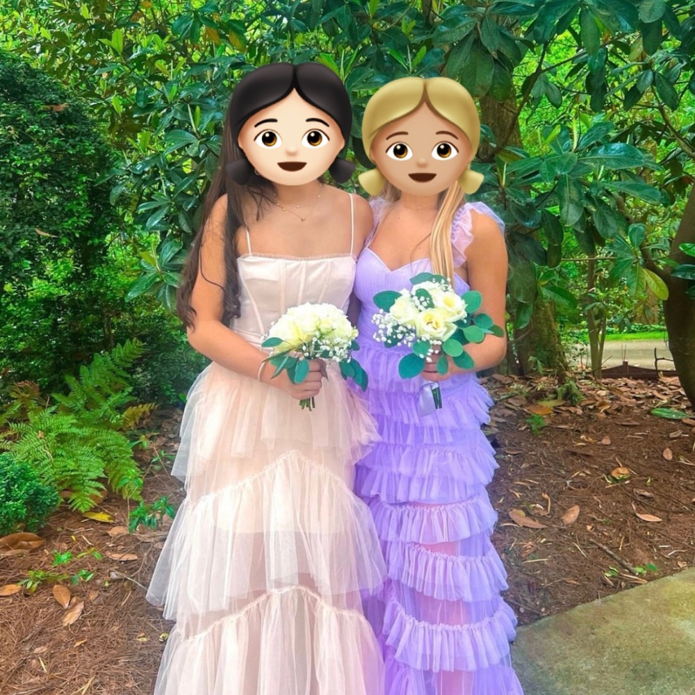 Prom Dress - Picture 3 of 5